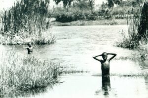 het moeras van de Nijl