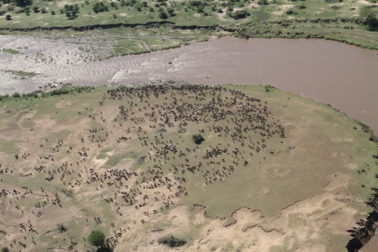 Tanzania: Asfalt door de Serengeti.