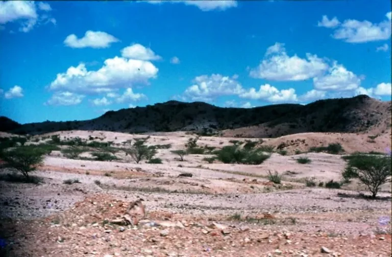 God is de sleutel kwijtgeraakt om regen te maken: Het nomadisme gestrand in Turkana